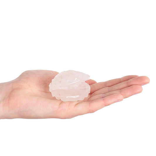 Clear Quartz Crystal Shell