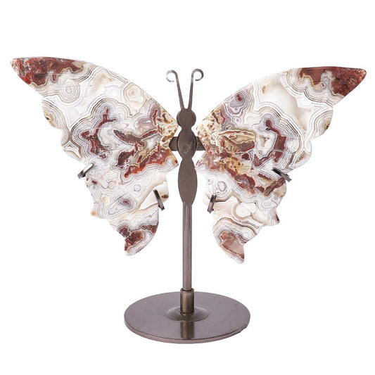 Crazy Lace Agate Butterfly on Metal Stand - Crystal Nest
