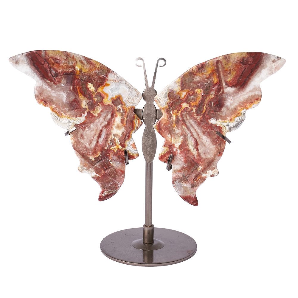 Crazy Lace Agate Butterfly on Metal Stand - Crystal Nest