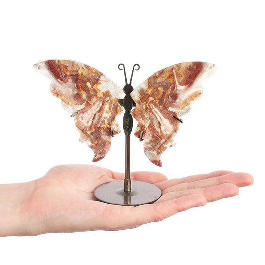 Crazy Lace Agate Butterfly on Metal Stand - Crystal Nest