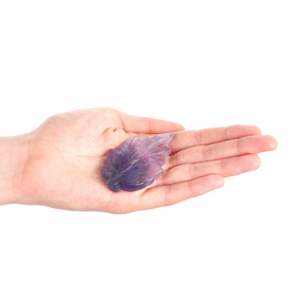 Fluorite Crystal Leaf | Clarity, Focus & Positive Energy