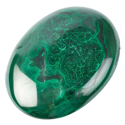 Malachite Palmstone | Medium - Crystal Nest