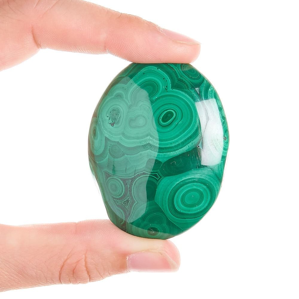 Malachite Palmstone | Medium - Crystal Nest
