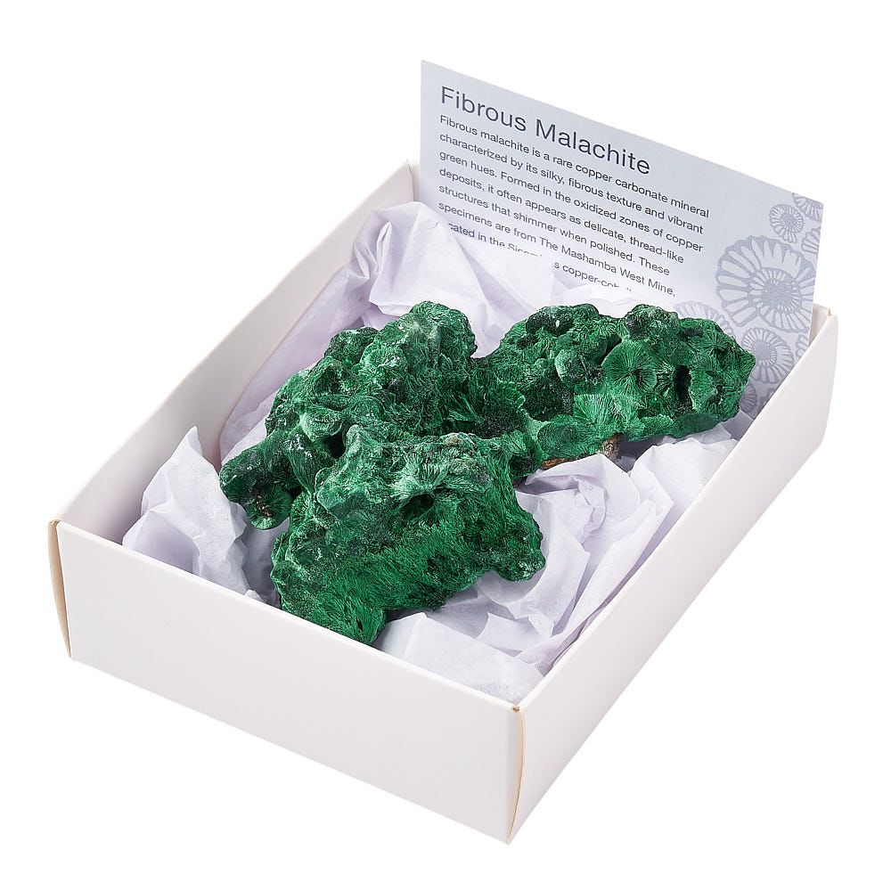 Fibrous Malachite Cluster | Medium - Crystal Nest