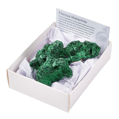 Fibrous Malachite Cluster | Medium - Crystal Nest