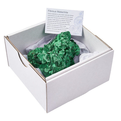 Fibrous Malachite Cluster | Large - Crystal Nest