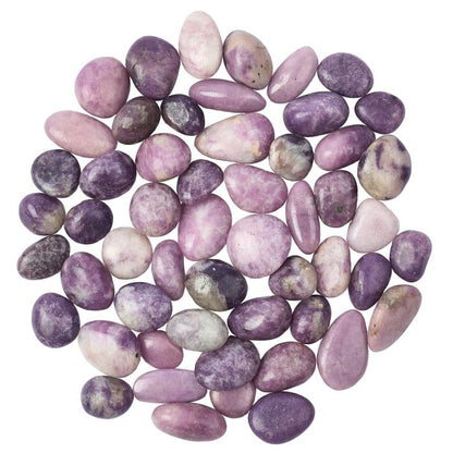 Lepidolite Tumblestone - Small - Crystal Nest