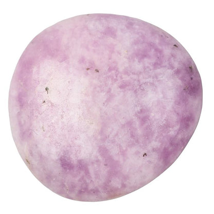 Lepidolite Tumblestone - Small - Crystal Nest