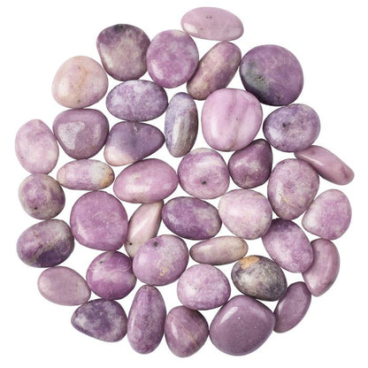 Lepidolite Tumblestone - Large - Crystal Nest