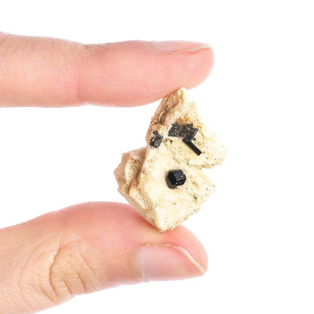 36-Piece Namibian Mini Mineral Collection - Crystal Nest