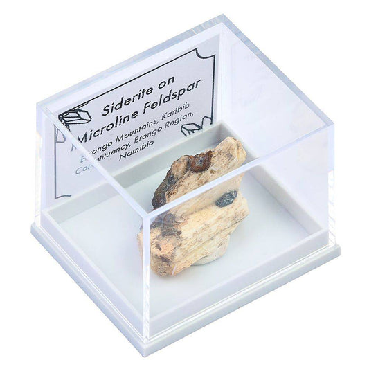 36-Piece Namibian Mini Mineral Collection - Crystal Nest