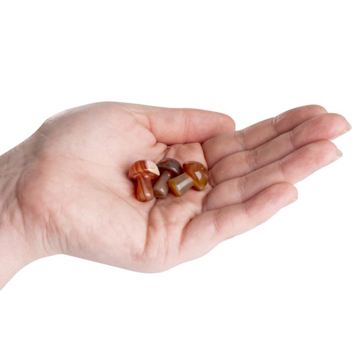 Carnelian Mini Crystal Mushroom