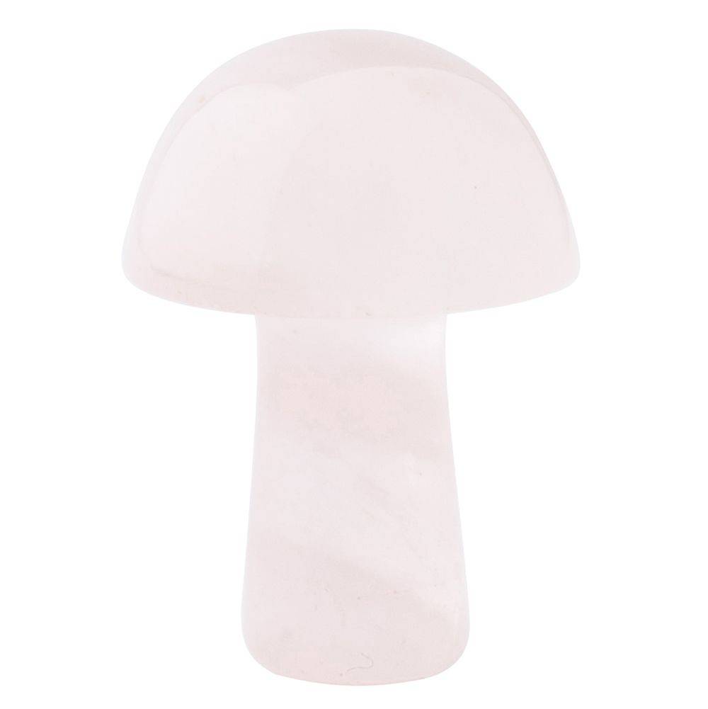 12 Assorted Gemstone Mushrooms - A Collection of Healing and Metaphysical Powers - Crystal Nest