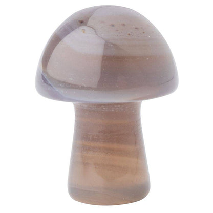 12 Assorted Gemstone Mushrooms - A Collection of Healing and Metaphysical Powers - Crystal Nest