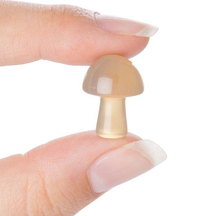 Grey Agate Mini Crystal Mushroom - Crystal Nest