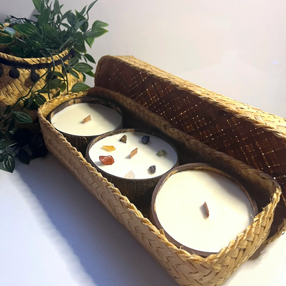 Coconut Shell Soy Candle Gift Set | Lavender, Apple Cinnamon & Meditation - Crystal Nest