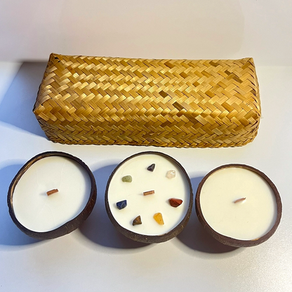 Coconut Shell Soy Candle Gift Set | Lavender, Apple Cinnamon & Meditation - Crystal Nest