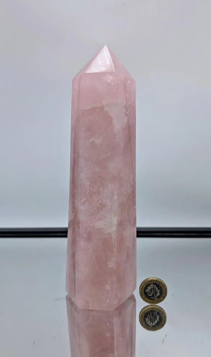 Large Rose Quartz Crystal Prism | 1-1.15kg - Crystal Nest