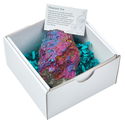 Rough Chalcopyrite Specimen - Large