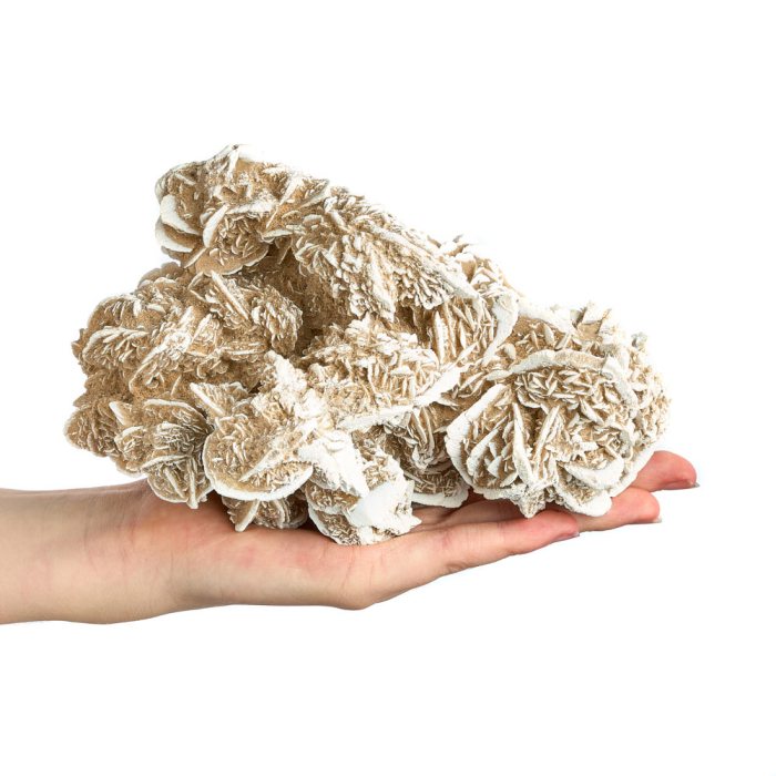 Large Desert Rose Crystal Cluster | 1–2kg