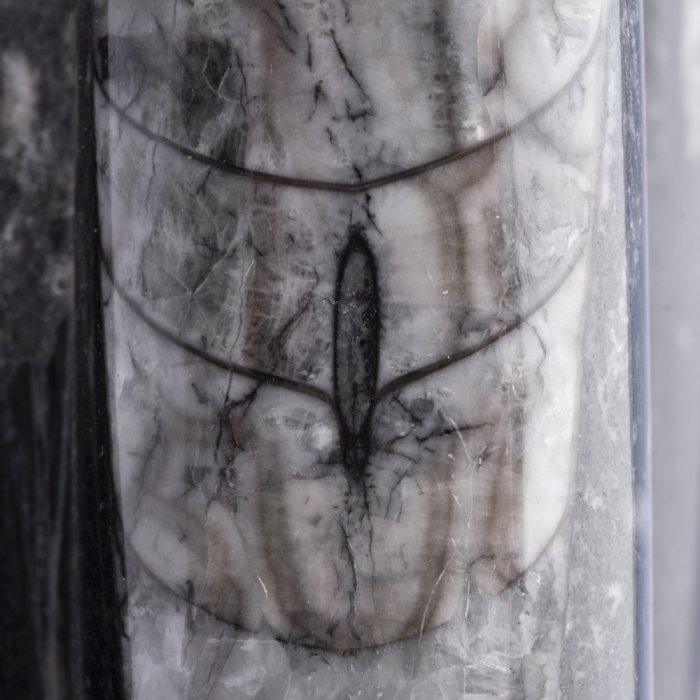 Orthoceras Fossil Tower Sculpture