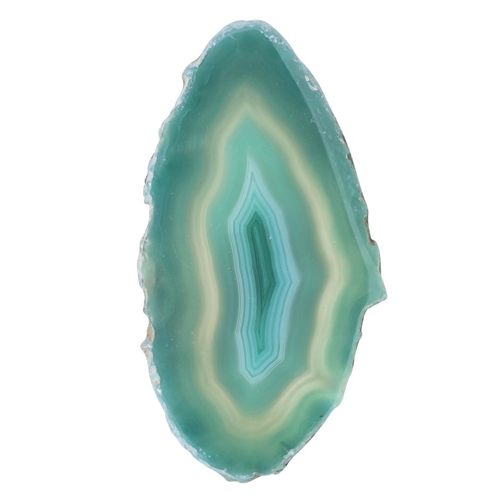Green Agate Slice - Crystal Nest