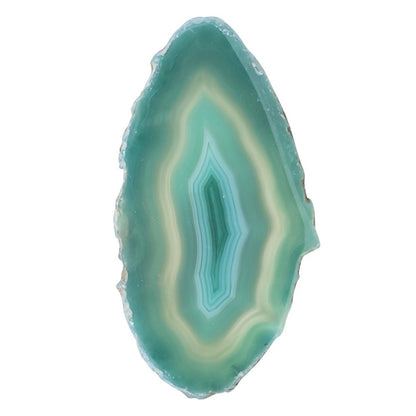 Green Agate Slice - Crystal Nest