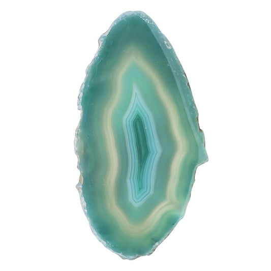 Green Agate Slice - Crystal Nest