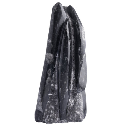 Orthoceras Fossil Tower Sculpture