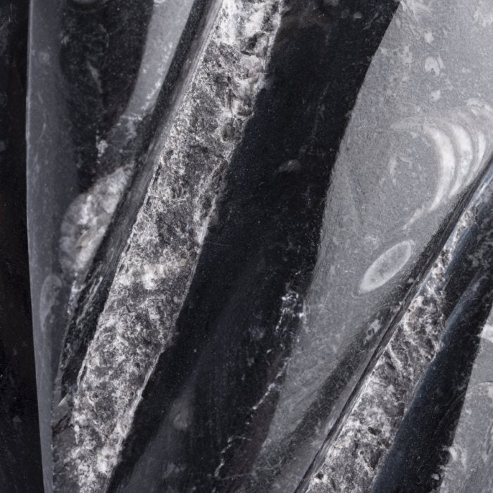 Orthoceras Fossil Tower Sculpture
