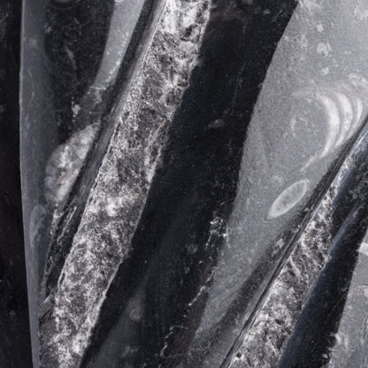 Orthoceras Fossil Tower Sculpture