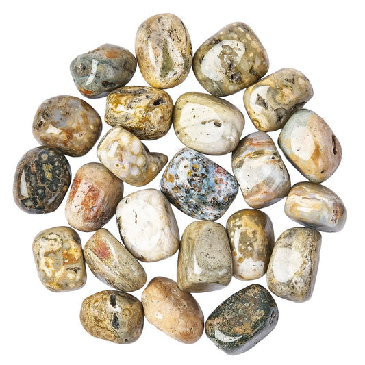 Ocean Jasper Tumblestone | Medium - Crystal Nest