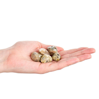 Ocean Jasper Tumblestone | Medium - Crystal Nest