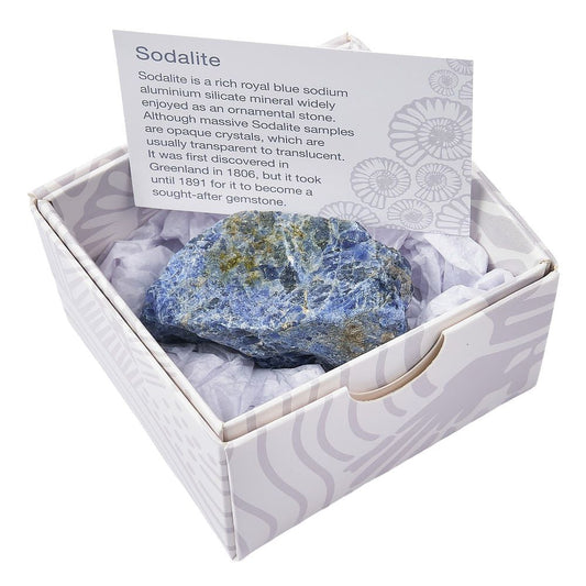 Mixed Raw Crystal & Mineral Gift Box | 9-Piece Set - Crystal Nest