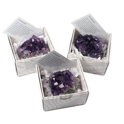 Amethyst Cluster – Gift Boxed with ID Card - Crystal Nest