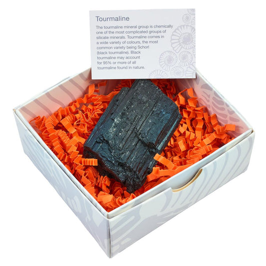 Black Tourmaline Crystal Gift Box - Crystal Nest