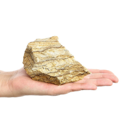 Rough Picture Jasper Crystal | 400–600g