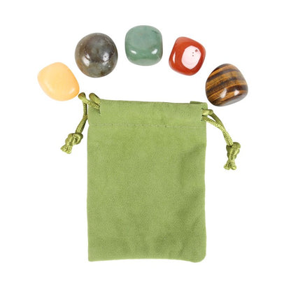 Leo Zodiac Crystal Tumblestone Set - Crystal Nest