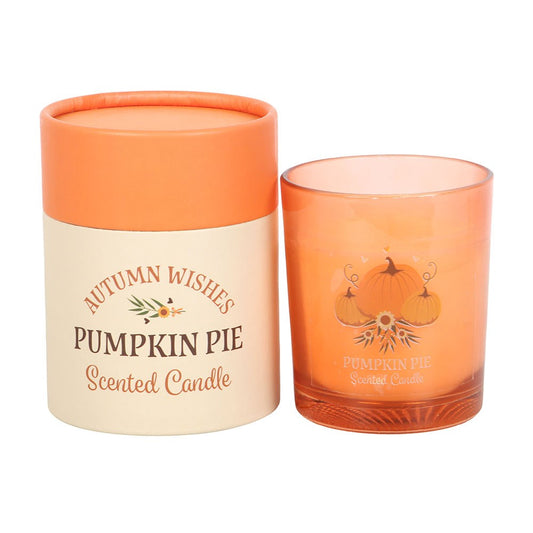 Autumn Wishes Pumpkin Pie Scented Candle