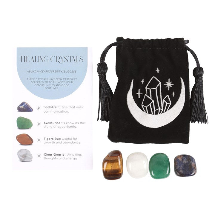 Success Healing Crystal Set with Moon Trinket Dish - Crystal Nest