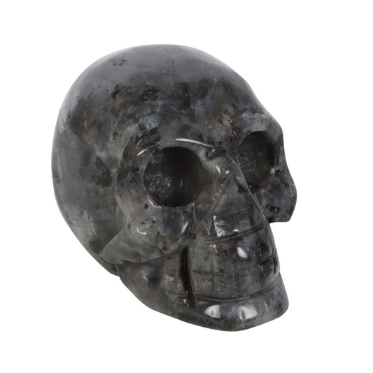 Black Labradorite Crystal Skull