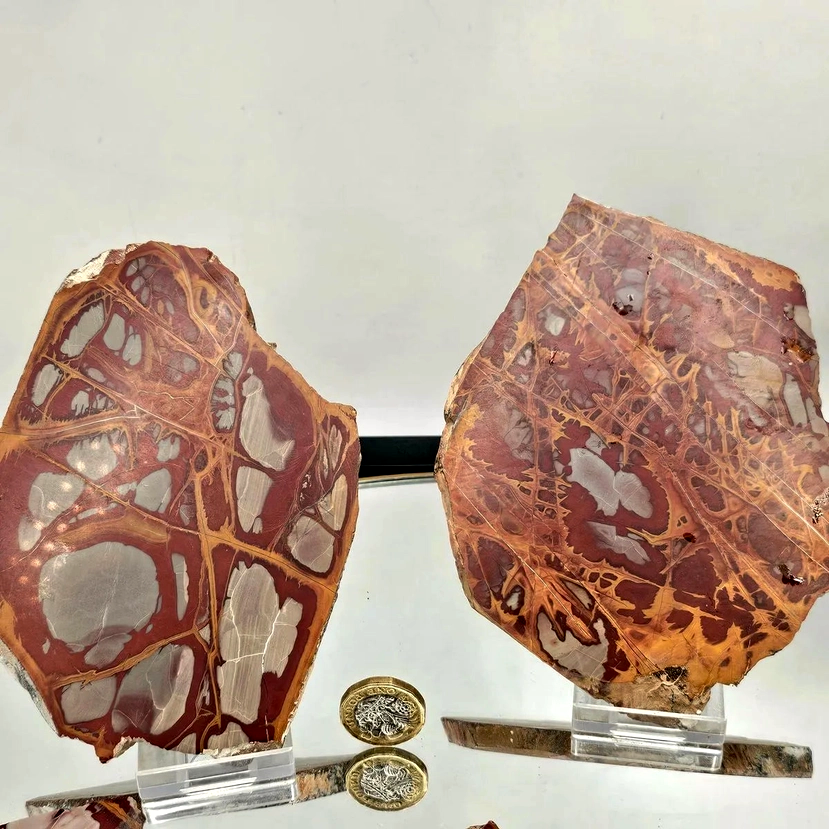 Noreena Jasper Crystal Slice | 250–300g - Crystal Nest