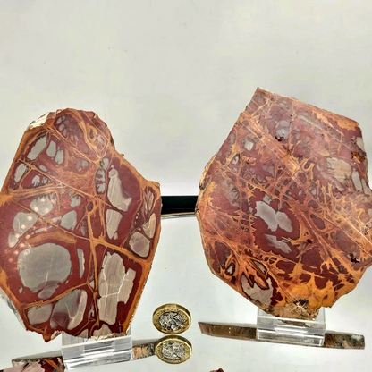 Noreena Jasper Crystal Slice | 250–300g - Crystal Nest