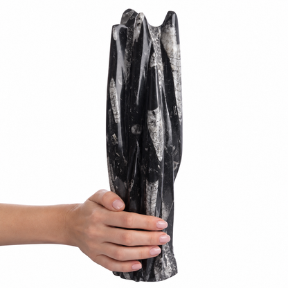 Orthoceras Fossil Tower Sculpture