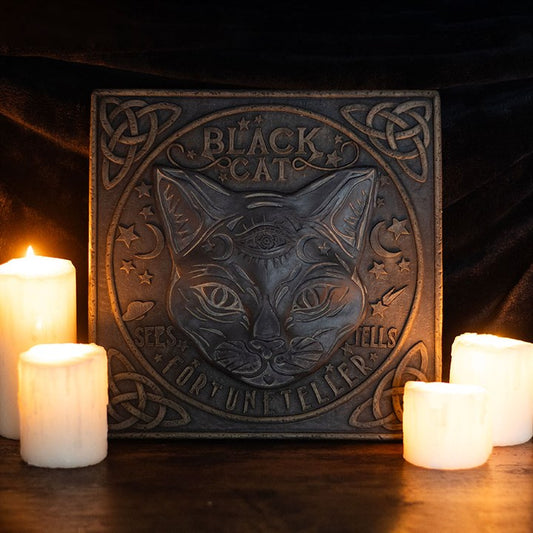 Black Cat Fortune Teller Sign | Mystical Resin Stepping Stone - Crystal Nest