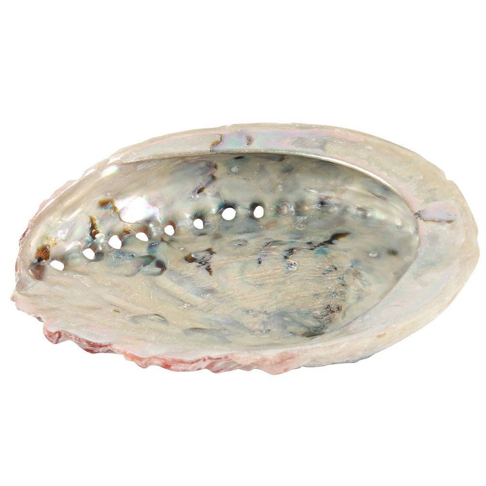 Natural Abalone Shell - Smudging Ritual Bowl - Crystal Nest