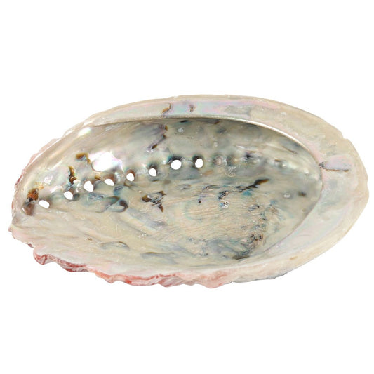 Natural Abalone Shell - Smudging Ritual Bowl