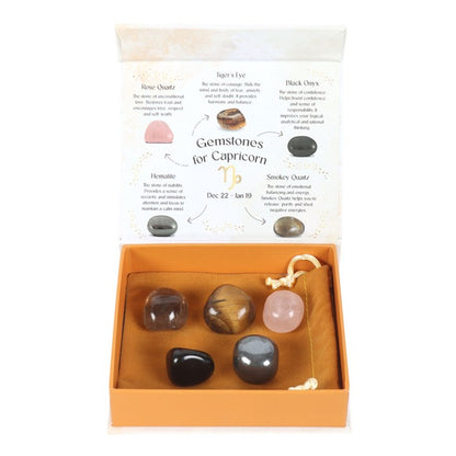 Capricorn Zodia Crystal Tumblestone Set