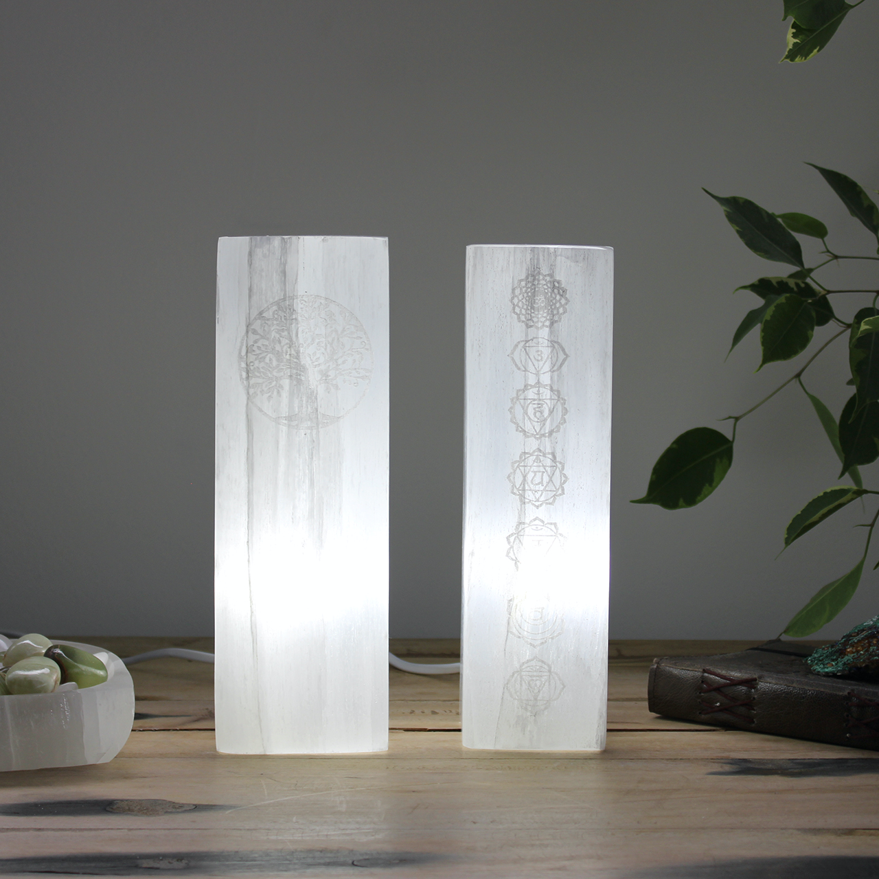 Tree of Life Selenite Lamp | Spiritual Healing & Soothing Cleansing Light | 25cm - Crystal Nest