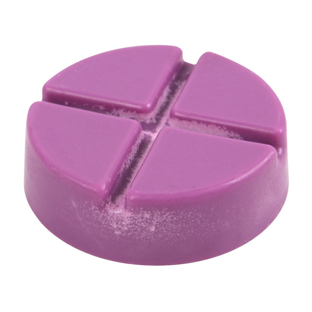 Witching Hour Soy Wax Melt Snap Disc - Crystal Nest